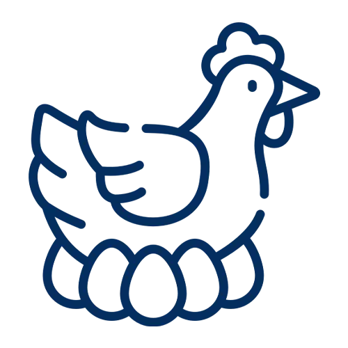 Meat & Poultry Industry at IISM & Indonesia Cold Chain Expo